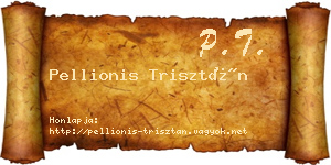 Pellionis Trisztán névjegykártya